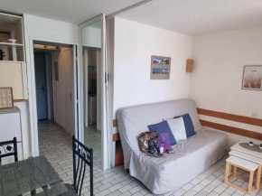 Studio cabine cosy avec piscine, proche Aqualand et plage, parking disponible, terrasse privative - FR-1-607-159
